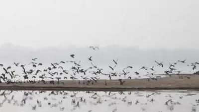 Athgarh Forest Range