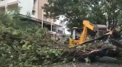 cyclone arnab