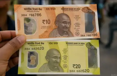 Polymer notes in India