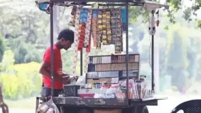 Karnataka Tobacco Ban 2026