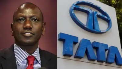 tata chemicals