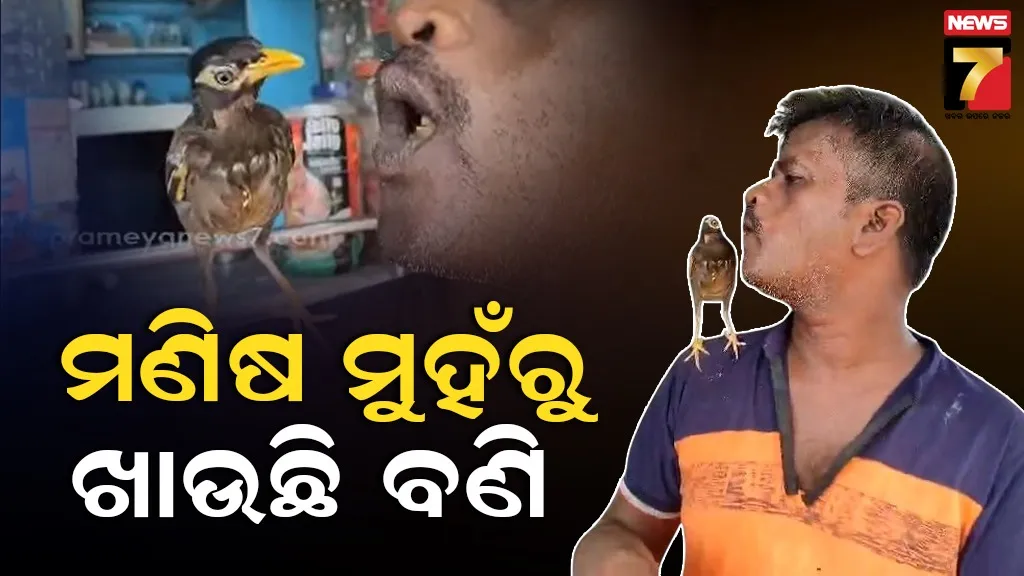 Manoj Maina