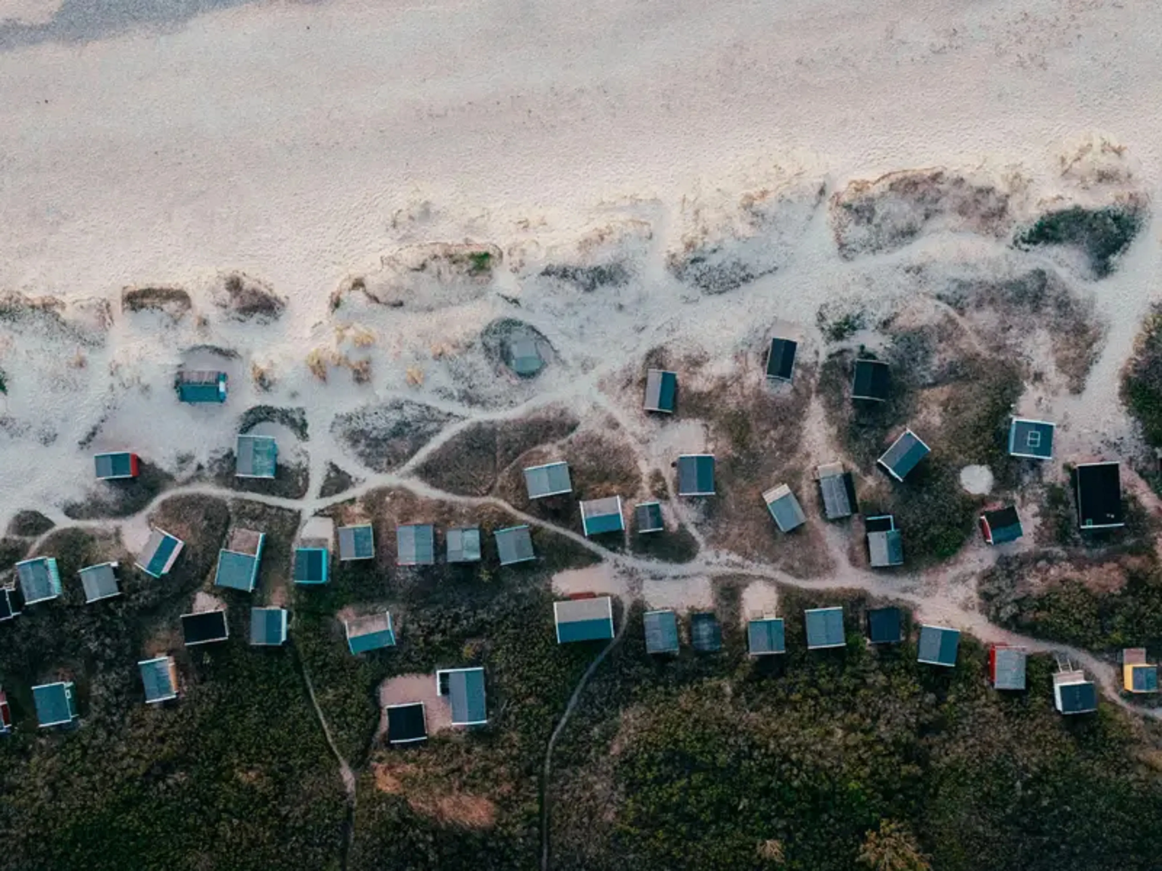 tsunami 