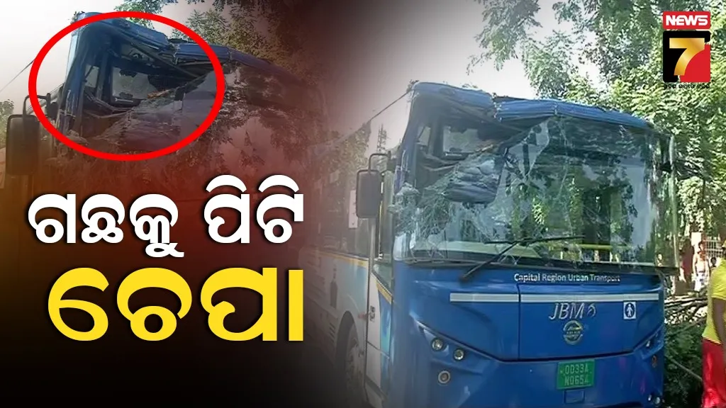 Ama Bus 