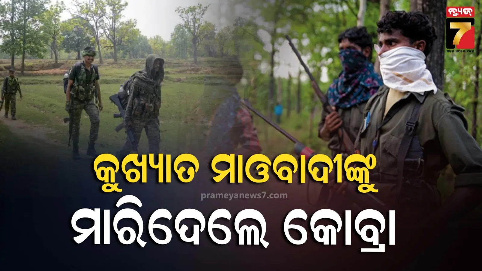 Maoist killed in Jharkhand