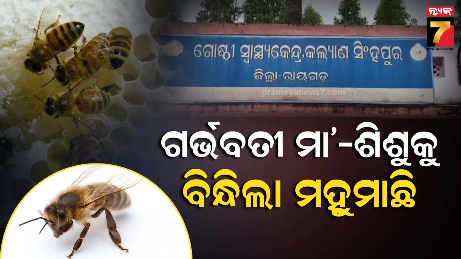 ମା’-ଝିଅଙ୍କୁ ଆକ୍ରମଣ କଲା ଜଙ୍ଗଲୀ ମହୁମାଛି, ଗୁରୁତର ଅବସ୍ଥାରେ ମେଡିକାଲରେ ଭର୍ତ୍ତି