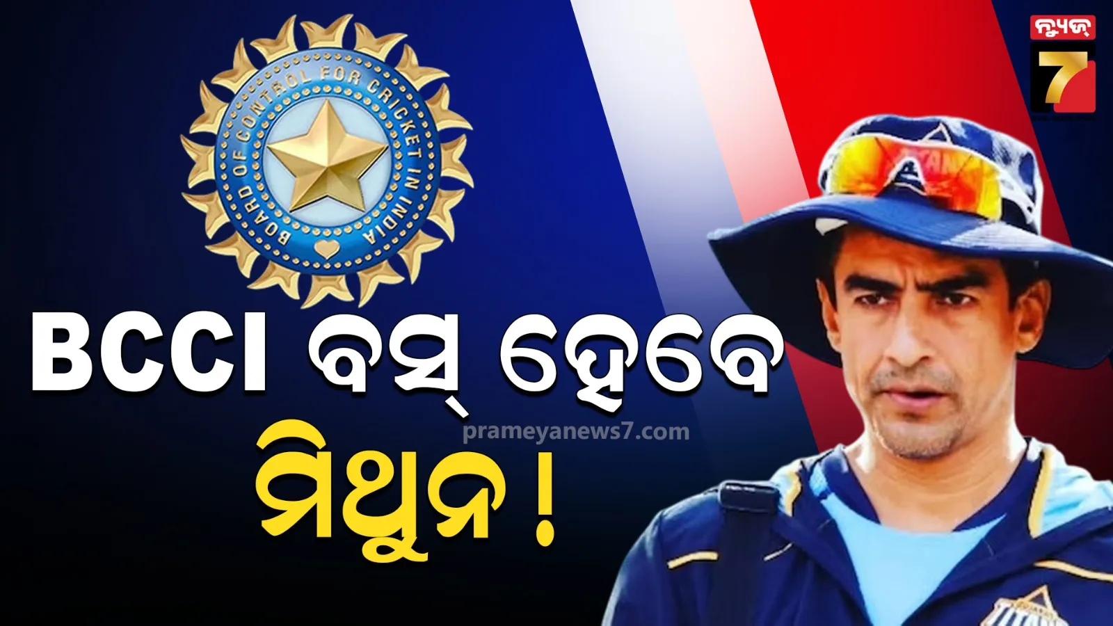 କିଏ ଏହି ମିଥୁନ୍ ମନହାସ ? ଯିଏ ସମ୍ଭାଳିପାରନ୍ତି BCCIର ଅଧ୍ୟକ୍ଷ ପଦ 