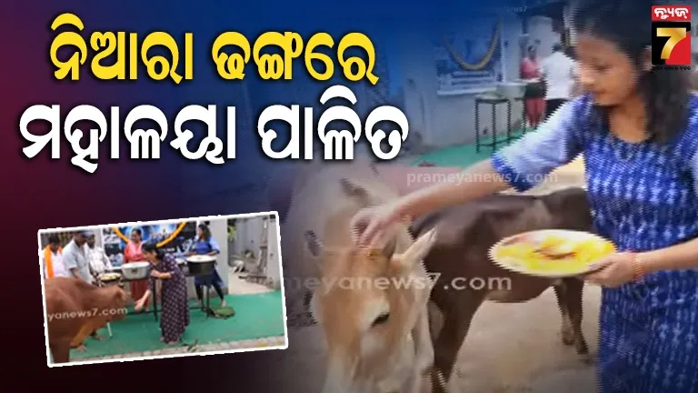 ମହାଳୟାରେ ପଶୁପକ୍ଷୀଙ୍କୁ ଖାଦ୍ୟ ପରସିଲେ କଟକ ନୂଆ ବଜାରର ଯୁବକ- ଯୁବତୀ, କହିଲେ- ପ୍ରାଣୀମାନଙ୍କୁ ଖୁଆଇଲେ ମିଳିଥାଏ ବାସ୍ତବ ଆତ୍ମତୃପ୍ତି