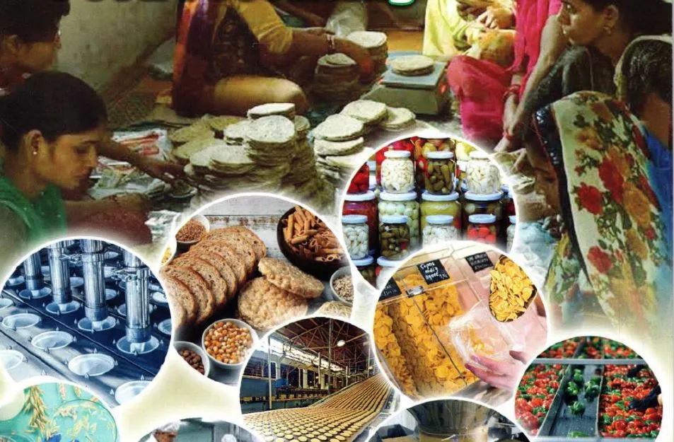 ଫୁଡ୍ ପ୍ରୋସେସିଂ କ୍ଷେତ୍ରରେ ମିଳିଲା ୧.୨ ଟ୍ରିଲିଅନ ଟଙ୍କାର ନିବେଶ: କେନ୍ଦ୍ର ସରକାର