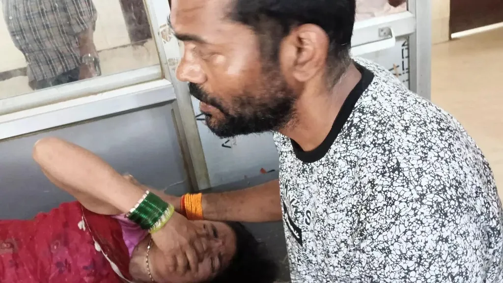 ବୁନ୍ଦେଲଖଣ୍ଡ ତାରାମାଈ ମନ୍ଦିରରେ ମହୁମାଛି ଆକ୍ରମଣରେ ୮ ଆହତ 