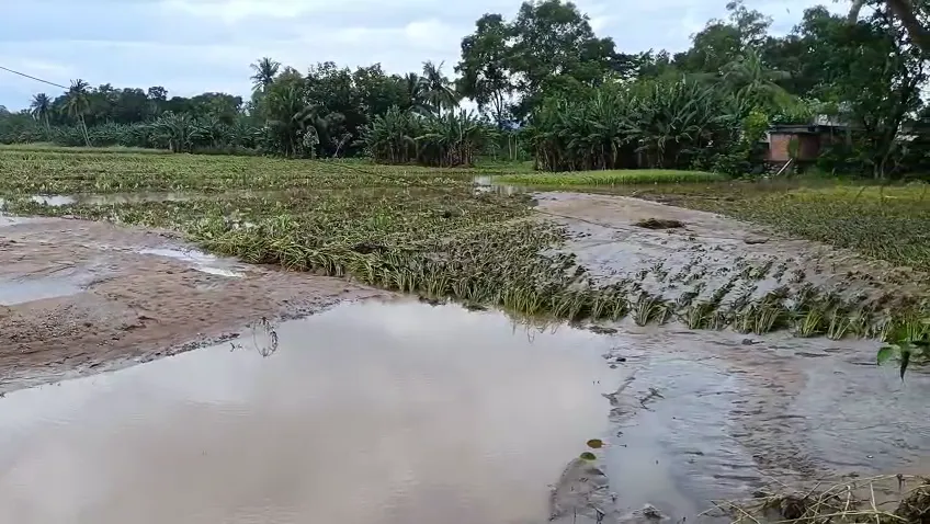 bhanjanagar-harigada-panchayat-shut-down-till-10th-august