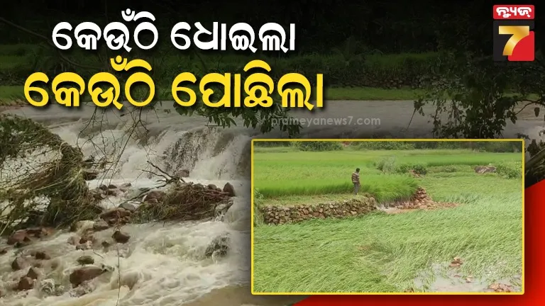 ଗୁଣପୁର ଅଞ୍ଚଳରେ ଏକାଧିକ ସ୍ଥାନରେ ଧୋଇ ହୋଇଯାଇଛି ରାସ୍ତା, ଏହାଠାରୁ ବଳି ପଡ଼ିଛି ଚାଷୀଙ୍କ ସମସ୍ୟା