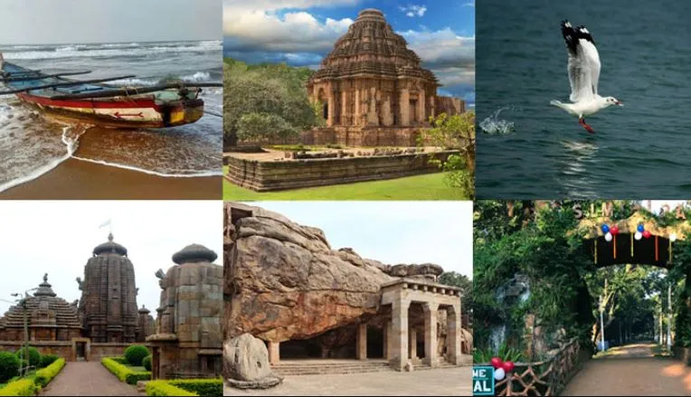 ଗୋଆ, ଉତ୍ତର ପ୍ରଦେଶ ଭଳି ରାଜ୍ୟକୁ ପଛରେ ପକାଇବ ଓଡିଶା, ଫୋକୋସରେ ରାଜ୍ୟ ପର୍ଯ୍ୟଟନ