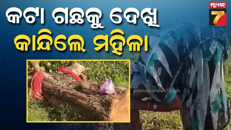  ୨୫ ବର୍ଷ ପୂର୍ବେ ନିଜେ ଲଗେଇ ଥିବା ଗଛକୁ କାଟି ଦେବାରୁ କାନ୍ଦିଲେ ୯୦ ବର୍ଷିୟା ମହିଳା ...ଭିଡ଼ିଓ ଭାଇରାଲ 