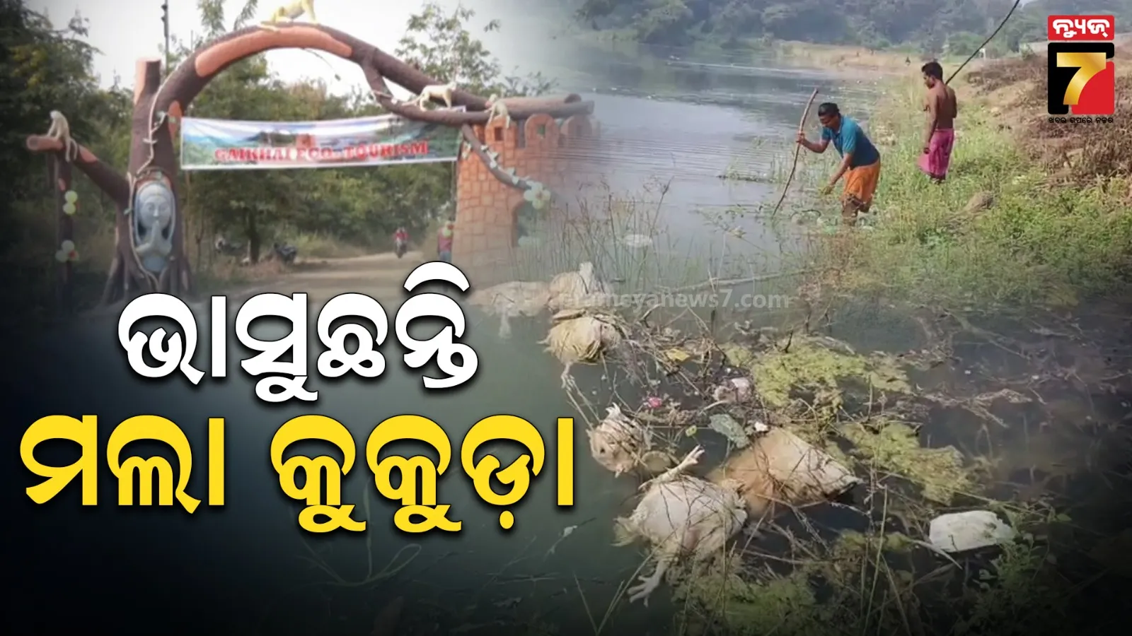 woman-beaten-by-in-laws-family-allegation-in-marsaghai