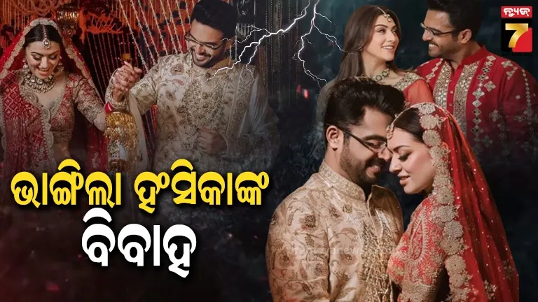 ସାଙ୍ଗର ସ୍ଵାମୀଙ୍କୁ ବିବାହ କରିଥିଲେ ଅଭିନେତ୍ରୀ ହଂସିକା, ୩ ବର୍ଷ ପରେ ସମ୍ପରେ ପଡିଲା ଫାଟ