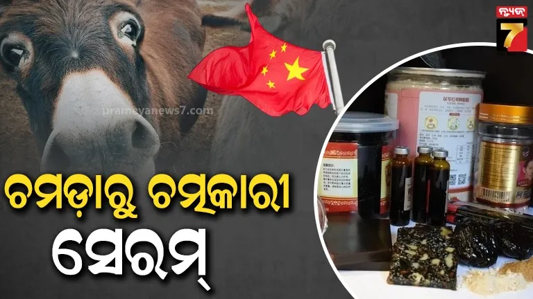 ଖାଦ୍ୟ ପାଇଁ ନୁହେଁ...ଲକ୍ଷ ଲକ୍ଷ ଗଧଙ୍କୁ ଏଥିପାଇଁ ବ୍ୟବହାର କରୁଛି ଚୀନ !