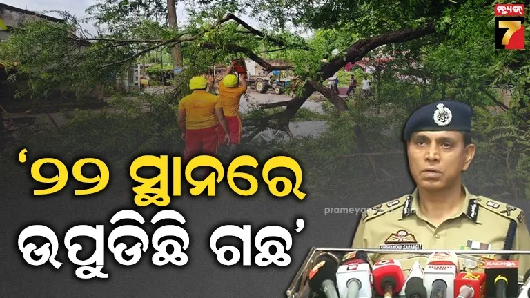 train-hits-elephant-to-death-in-keonjhar