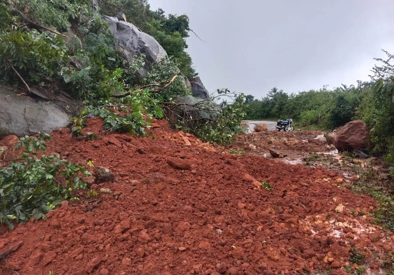 1-critical-in-elephant-attack-in-angul