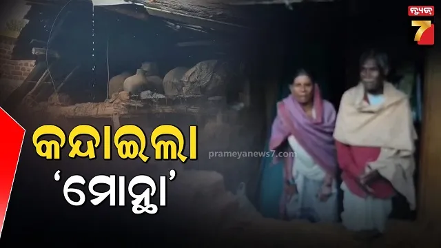 Cyclone Montha Wreaks Havoc in Odisha | Houses Damaged