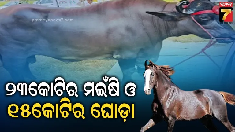 ipl-2020-srh-vs-mi-last-league-match