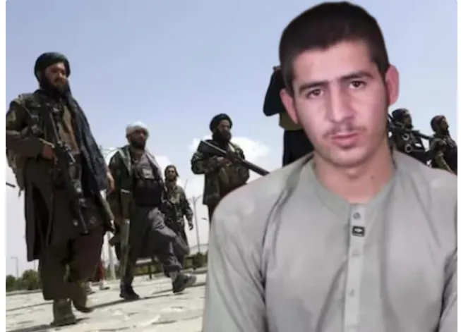 unknown-people-broke-camels-leg