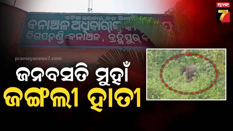 ଖାଦ୍ୟ ଓ ପାନୀୟ ଜଳ ପାଇଁ ଗାଁମୁହାଁ ଚାରି ଟିକିଆ ହାତୀ ପଲ, ଚାଷୀଙ୍କୁ ସୁରକ୍ଷା ଦେବାରେ ବନ ବିଭାଗ ବିଫଳ ଅଭିଯୋଗ