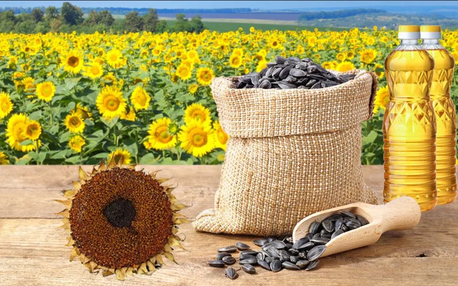 ଅଶୋଧିତ ତେଲ ବ୍ୟାନ୍ ପରେ ଋଷ ଠାରୁ ରେକର୍ଡ ସଂଖ୍ୟକ ସୂର୍ଯ୍ୟମୁଖୀ ତେଲ ଆମଦାନୀ କଲା ଭାରତ  