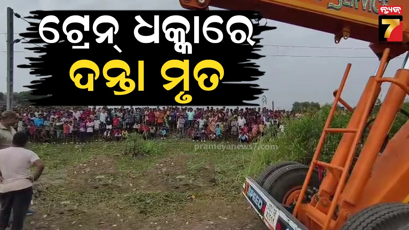 ରେଳ ଧାରଣାରେ ଯାଉଥିଲା ଦନ୍ତା ହାତୀ, ଟ୍ରେନ୍ ଧକ୍କାରେ ଚାଲିଗଲା ଜୀବନ