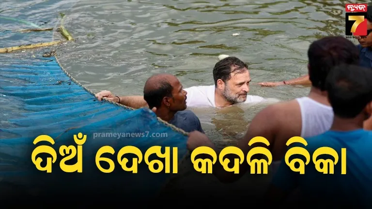 ବିହାର: ନିର୍ବାଚନ ପ୍ରଚାରରେ ଯାଇ ଚାଷୀଙ୍କ ସହ ମାଛ ଧରିଲେ ରାହୁଲ ଗାନ୍ଧି, Watch Video    