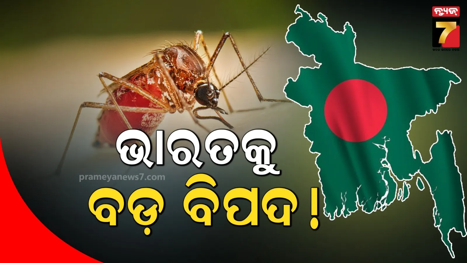 ବାଂଲାଦେଶରେ ଭୟଙ୍କର ରୂପ ନେଇଛି ଏହି ରୋଗ; ଏପର୍ଯ୍ୟନ୍ତ ଗଲାଣି ୨୯୨ ଜୀବନ, ଡାକ୍ତରଖାନାରେ ଲାଗିଛି ଲମ୍ବା ଲାଇନ୍‌