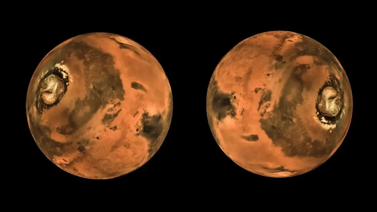 seedball-plantation-in-chandaka-police-station