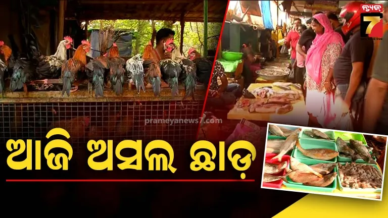 manoroma-moahanty-reaction-weather-condition-of-odisha