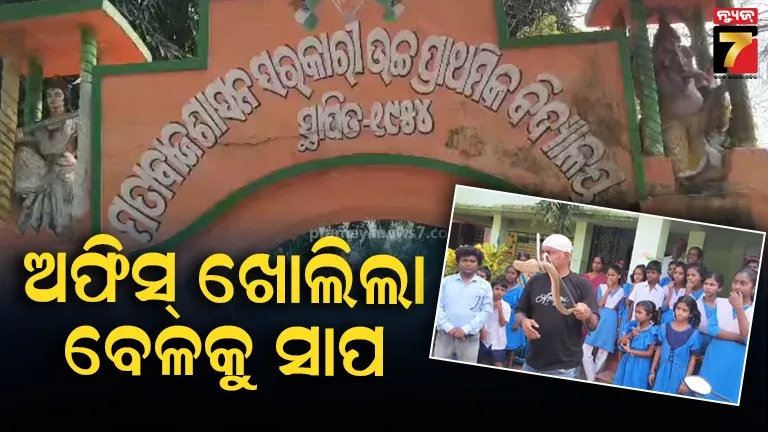 Snake Found in Bhadrak School Office | Teachers Panic