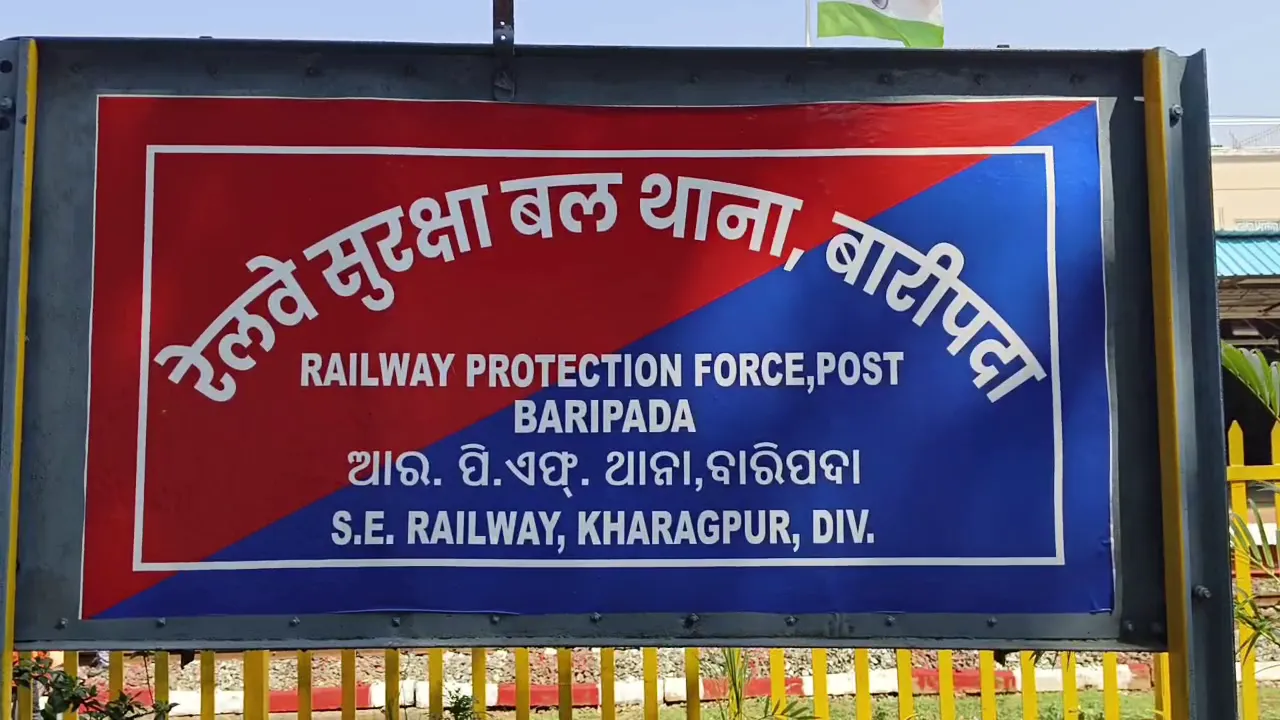 watch-video-chimpanzee-washing-clothes-like-humans-video-goes-viral-on-social-media