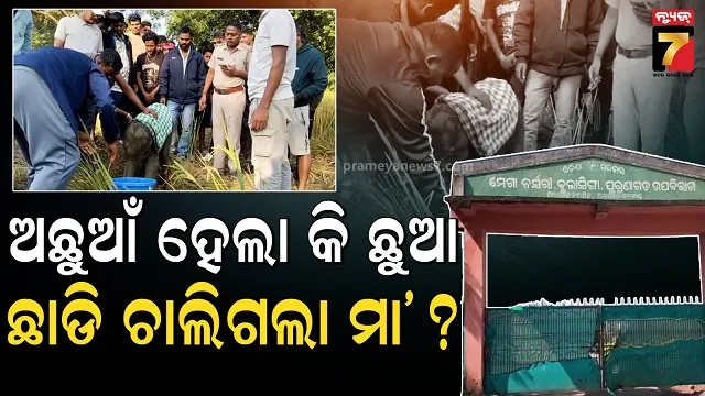 ipl-2025-pbks-dc-players-reached-delhi-from-dharamshala