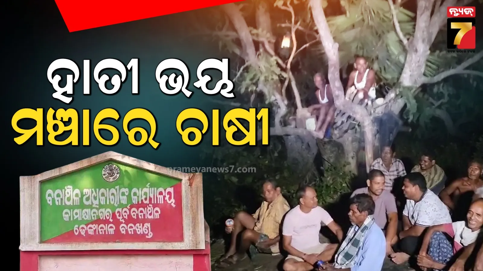 ଚାଷୀଙ୍କ ଚିନ୍ତା ବଢ଼ାଇଛି ଜଙ୍ଗଲୀ ଜନ୍ତୁ, ମଞ୍ଚାରେ ବିତୁଛି ଚାଷୀଙ୍କ ଜୀବନ