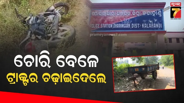 dwayne-bravo-was-dating-south-actress-shriya-saran