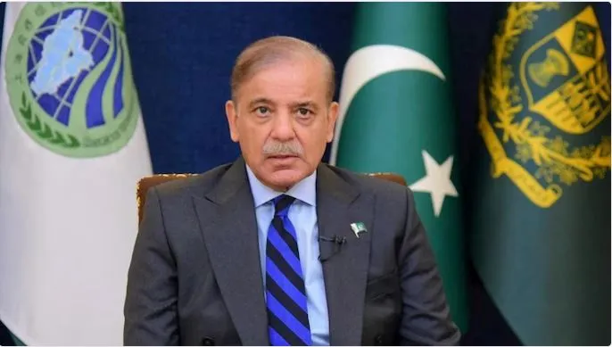 activist-and-economics-lecturer-frozan-safi-shot-dead-in-afghanistan