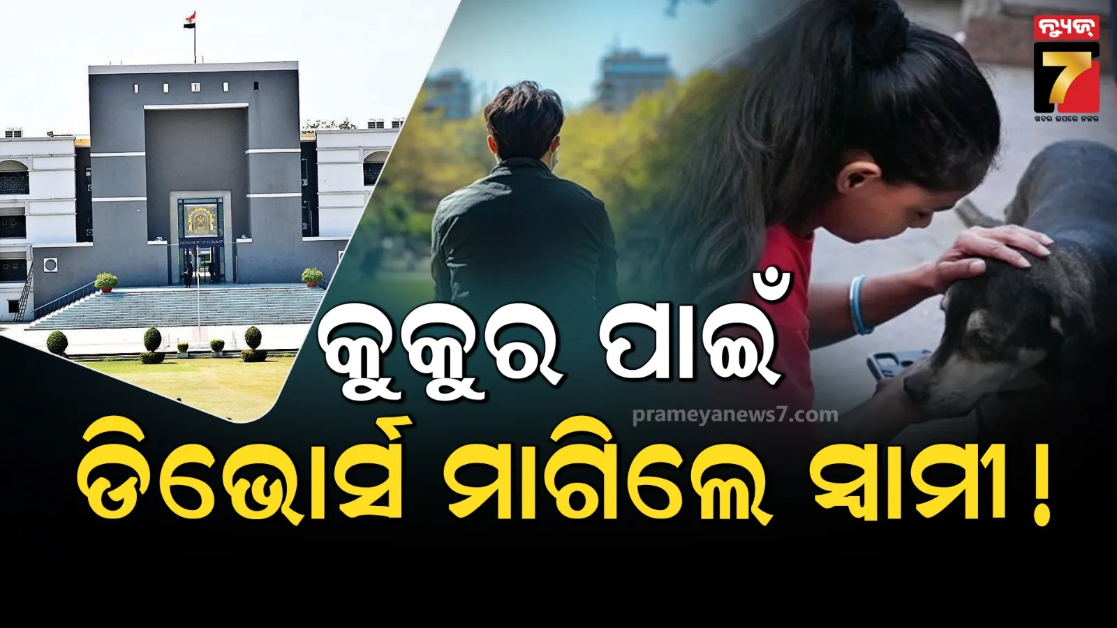 ସ୍ତ୍ରୀଙ୍କ କୁକୁର ପ୍ରେମ ପାଇଁ ଯନ୍ତ୍ରଣା ଭୋଗୁଛନ୍ତି ସ୍ୱାମୀ ! ଛାଡ଼ପତ୍ର ପାଇଁ ହାଇକୋର୍ଟରେ ହେଲେ ଦାରସ୍ଥ