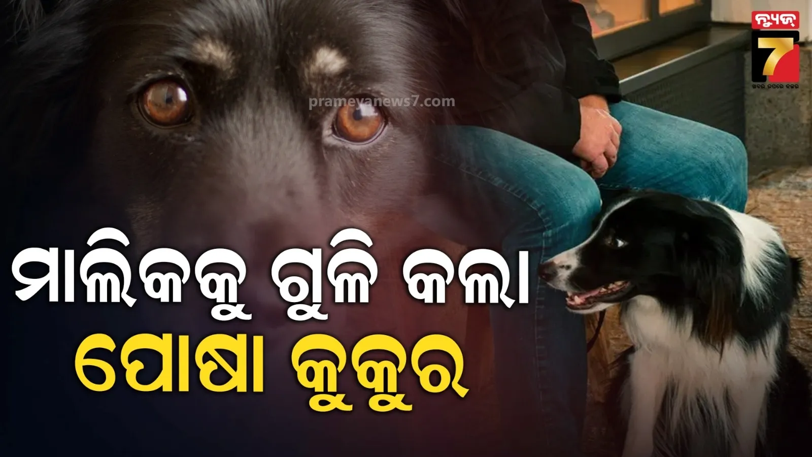 shikhar-dhawan-slams-shahid-afridi-for-blaming-indian-army-for-pahalgam-attack