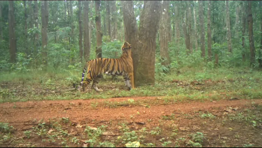 kangna-ranaut-starer-manikarnika-the-queen-of-jhansi-trailer-released