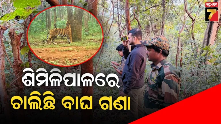 ଶିମିଳିପାଳ ଟାଇଗର ରିଜର୍ଭରେ ପ୍ରଥମ ପର୍ଯ୍ୟାୟ ବ୍ୟାଘ୍ର ଗଣନା, ୧୦୩ ବିଟ୍‌ରେ ୧୦୩ ପ୍ରଶିକ୍ଷିତ ସର୍ଭେ ଦଳ ନିୟୋଜିତ