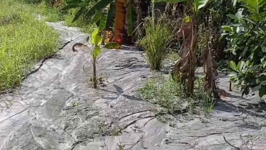 fatehpur-train-accident-two-goods-trains-collide-in-fatehpur