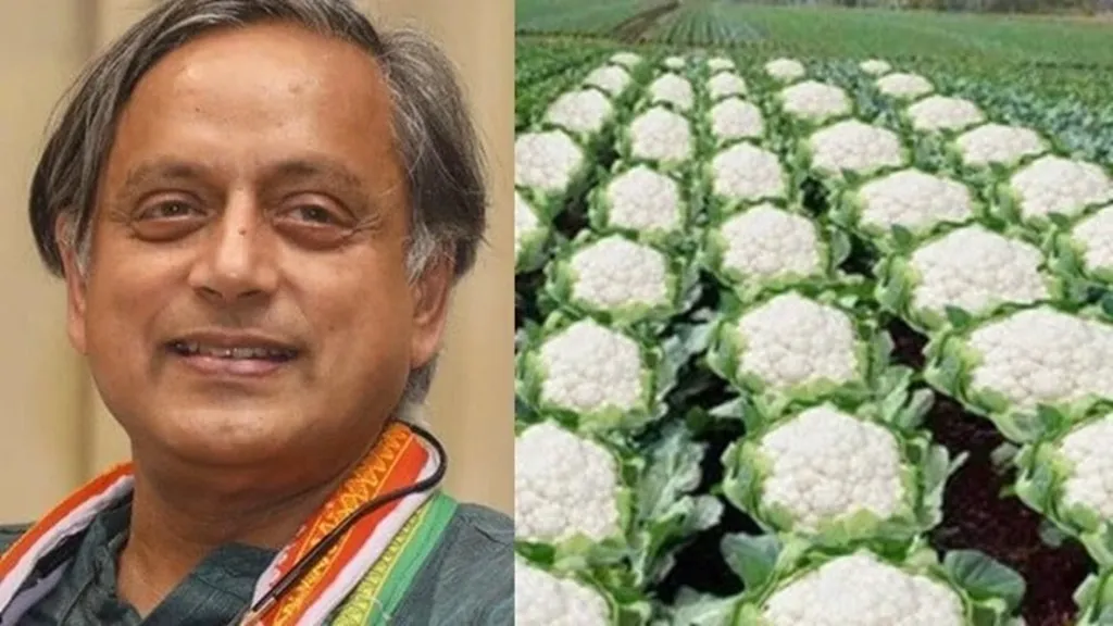 ଆସାମ ବିଜେପି ମନ୍ତ୍ରୀଙ୍କ ‘କୋବି ଚାଷ’ ପୋଷ୍ଟର ଜବାବ ରଖିଲେ ଶଶି ଥରୁର, ଜାଣନ୍ତୁ କହିଲେ କ’ଣ? 