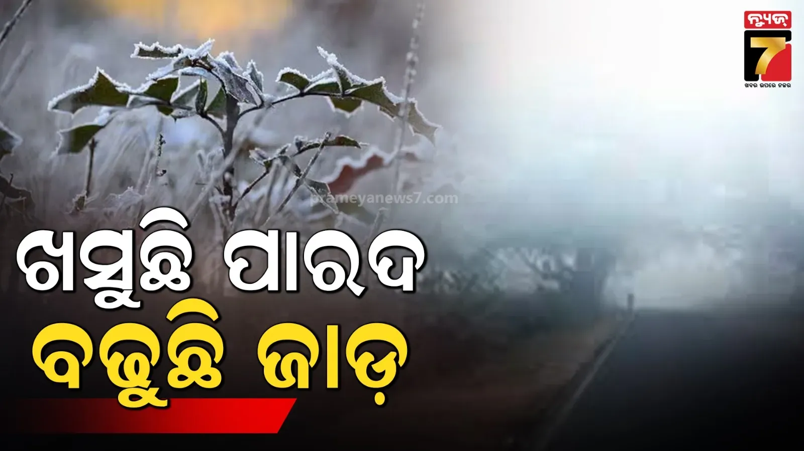 ଶୀତରେ ଥରୁଛି ରାଜଧାନୀ, ତଳମୁହାଁ ପାରଦ: ସକାଳ ୫ ଟା ସୁଦ୍ଧା ତାପମାତ୍ରା ୧୪.୨ ଡିଗ୍ରୀ
