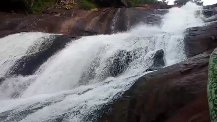 pratap-sarangi-thanks-on-the-president-address-motion-loksabha