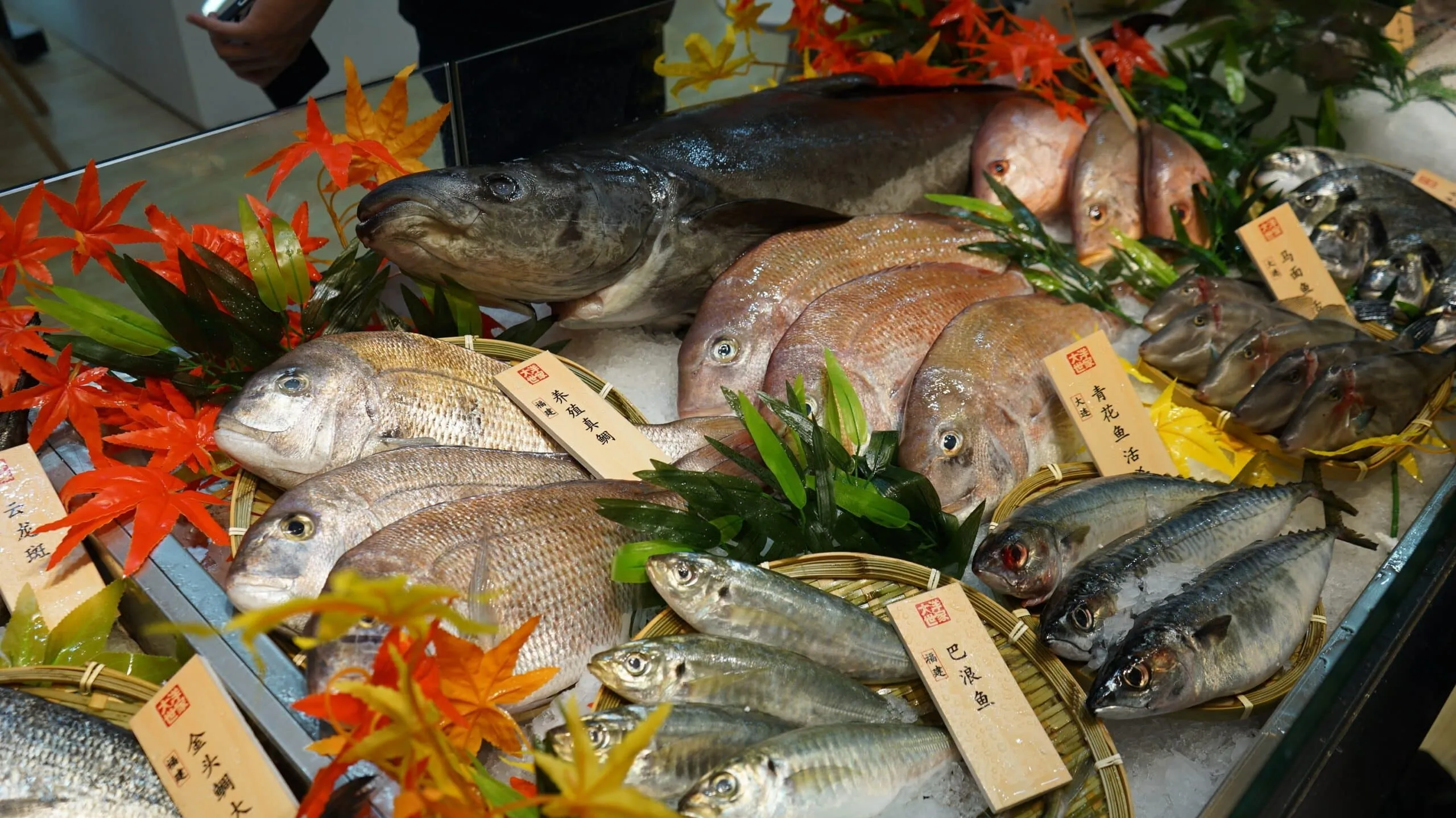 suraj-suryabanshi-seeks-lord-jagannaths-blessing-after-dhamnagar-victory