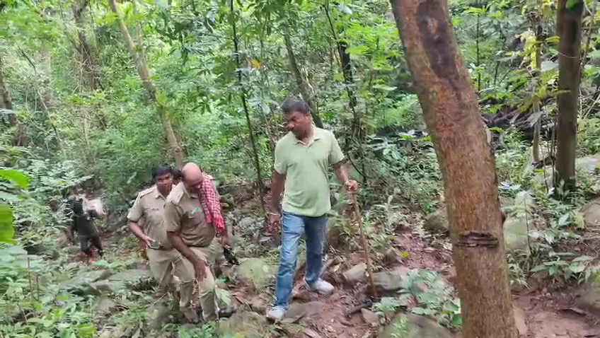 କୁଲଡିହା ଅଭୟାରଣ୍ୟରେ ବାଘ ଗଣନା ଆରମ୍ଭ, ବାଘର ପାଦ ଚିହ୍ନ ଦେଖି କରାଯିବ ଗଣତି