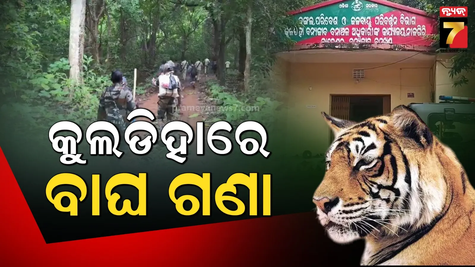 କୁଲଡିହା ଅଭୟାରଣ୍ୟରେ ବାଘ ଗଣନା ଆରମ୍ଭ, ବାଘର ପାଦ ଚିହ୍ନ ଦେଖି କରାଯିବ ଗଣତି